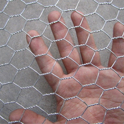 chicken wire netting