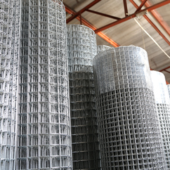 Welded Wire Mesh