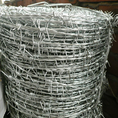 Barbed Wire