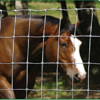 Farm Fence / Field Fence