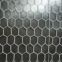 Hexagonal Wire Mesh