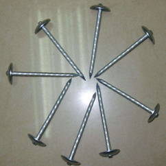 Roofing Nails