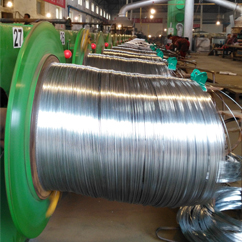 Electro Galvanized Wire