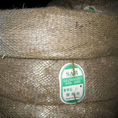 Electro Galvanized Wire