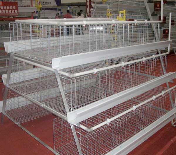 Broiler Cages