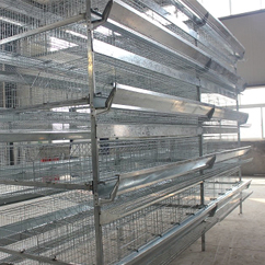 Broiler Cages