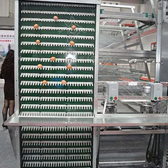 Egg Collection System